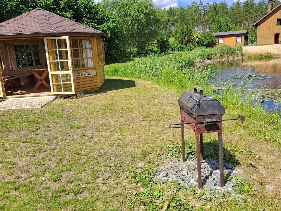 Lapene ar grilu pie dīķa